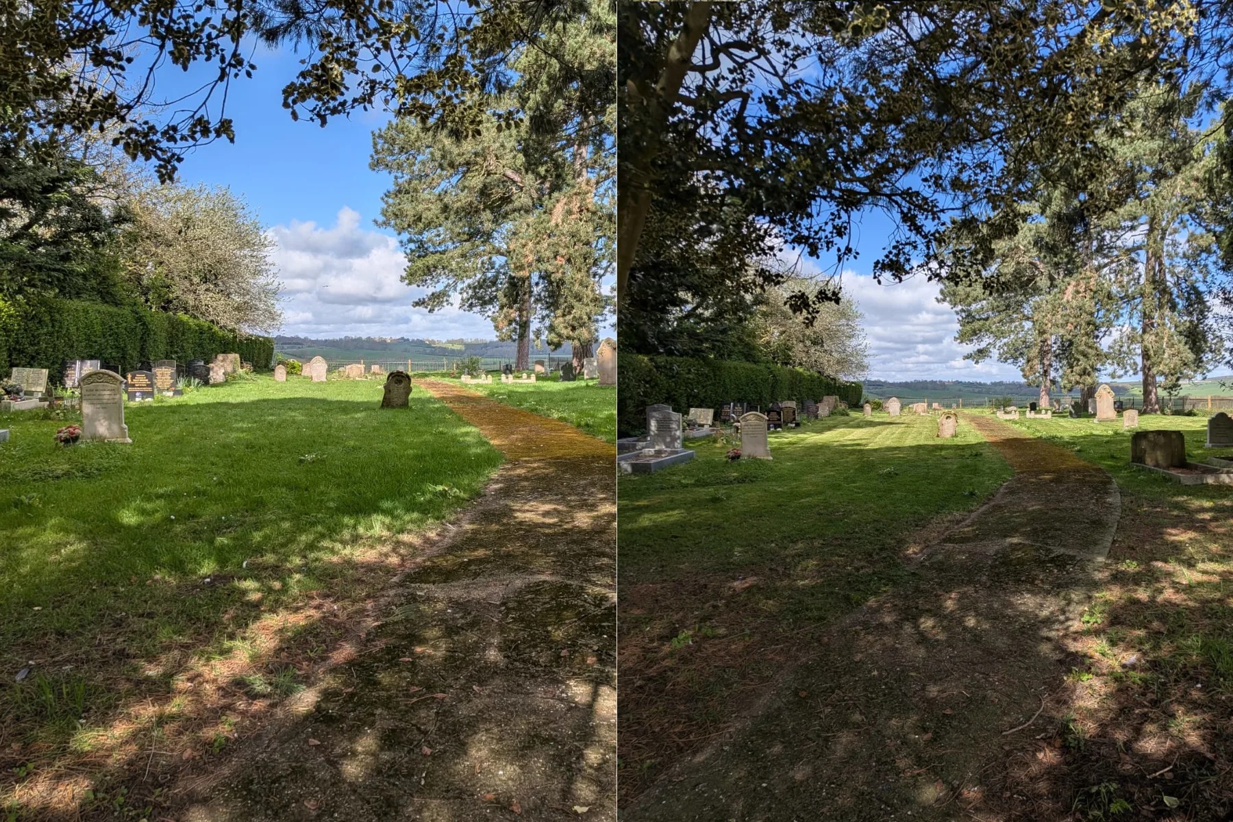 Fresh lawn after garden work